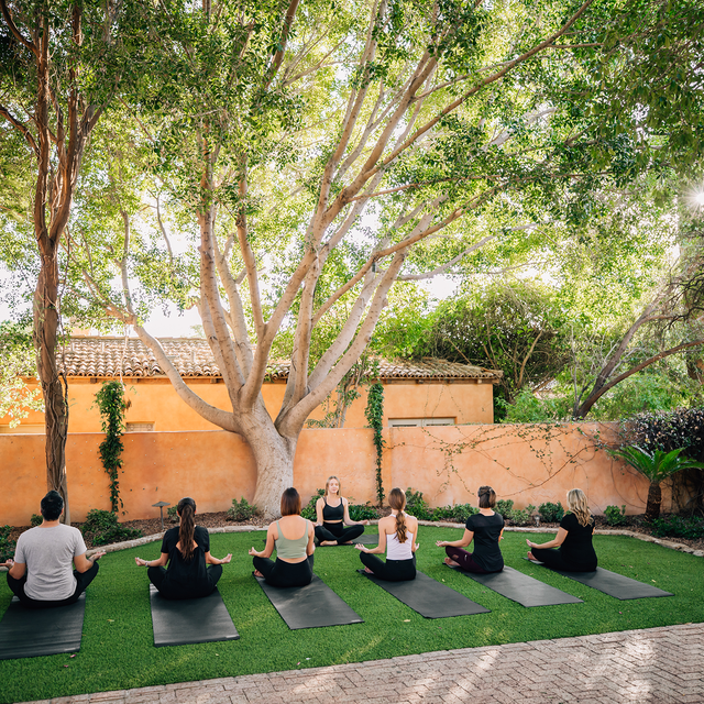 Group Yoga Class